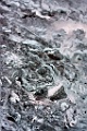 Ice_copyright_VSunkmanitu001